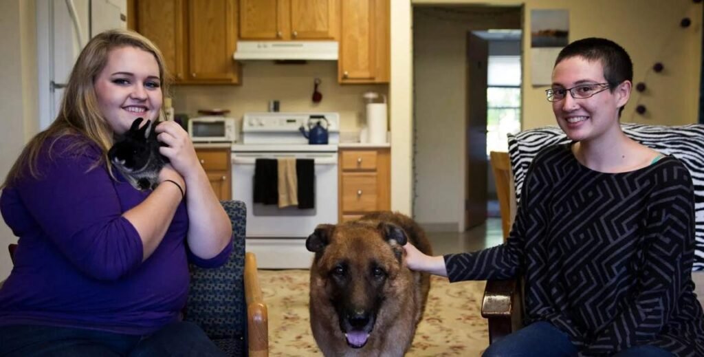 Therapy Dogs, Service Dogs, and Emotional Support Animals
