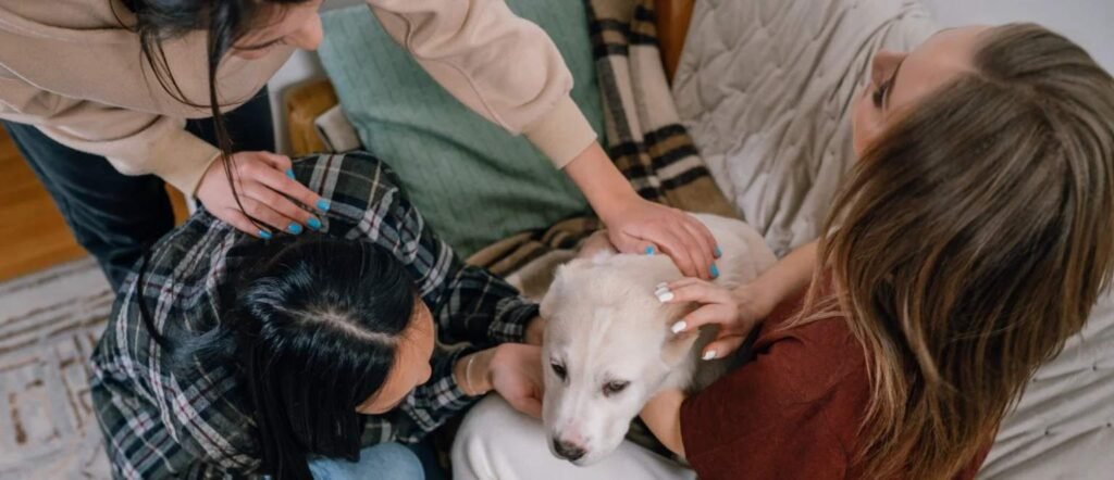 What Is a Therapy Dog_