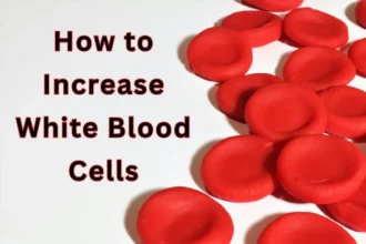 how to increase white blood cells