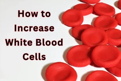 how to increase white blood cells