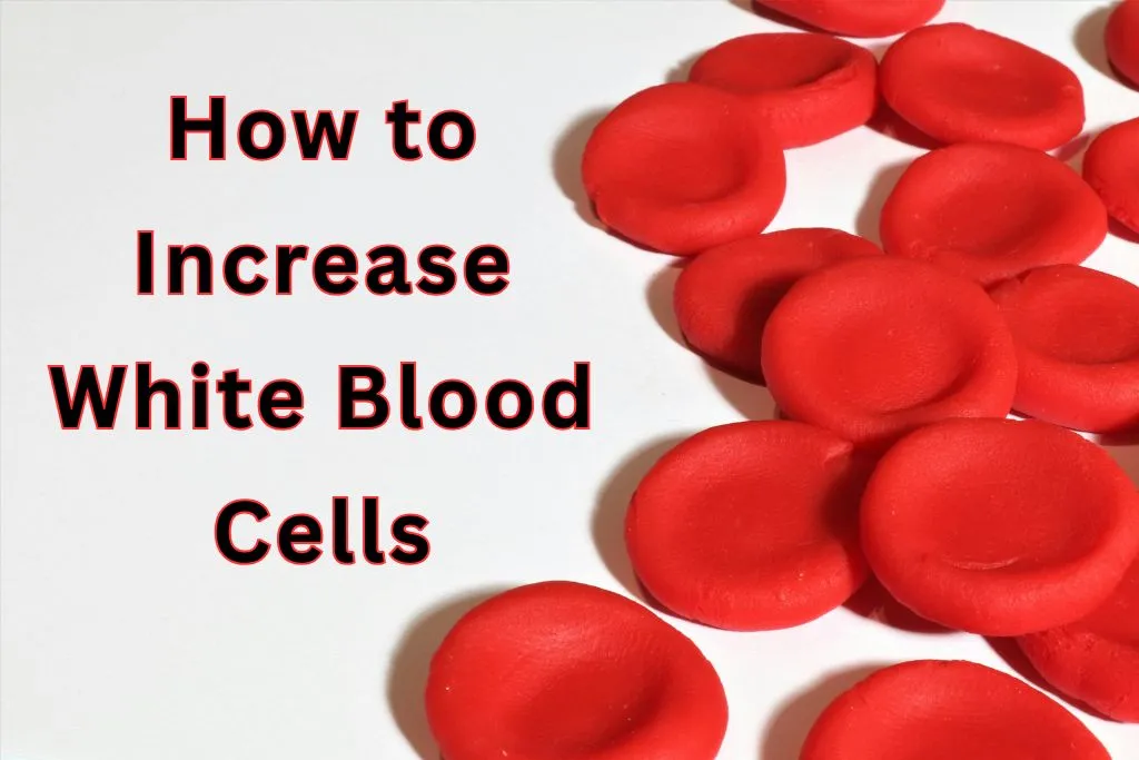 how to increase white blood cells