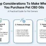 Top Considerations To Make When You Purchase Pet CBD Oils