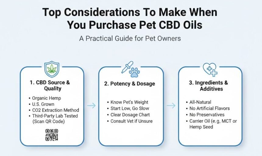 Top Considerations To Make When You Purchase Pet CBD Oils