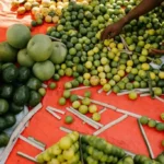 high fibre foods for piles