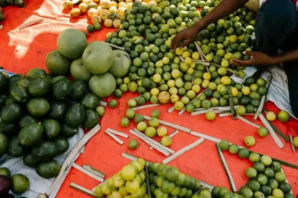 high fibre foods for piles