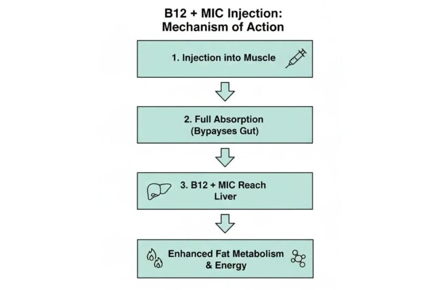 Lipo B12 Injections: Benefits, Risks, and Medical Contex