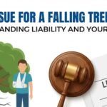 Can You Sue for a Falling Tree Injury? Your Legal Rights Explained