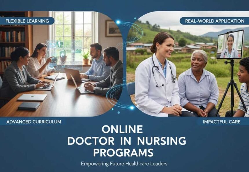 How Online Doctor in Nursing Programs Work