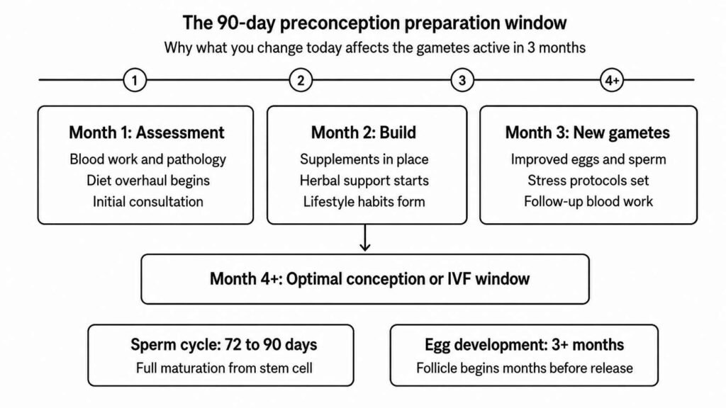 90 Day Preconception Window: Why Timing Your Preparation Matters