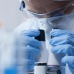 What Are PBMCs And Why Are They Important In Research?
