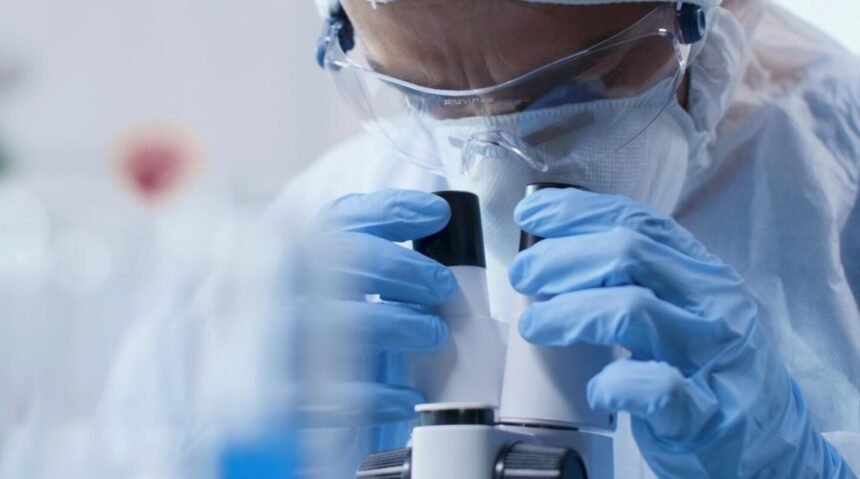 What Are PBMCs And Why Are They Important In Research?
